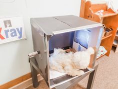 a white dog laying in a metal box on the floor next to a book shelf