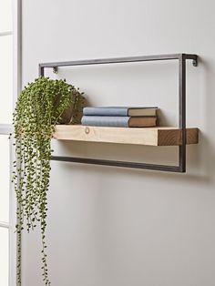 a shelf with books and plants on it