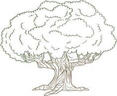 a drawing of a large tree with leaves and branches in the shape of a heart