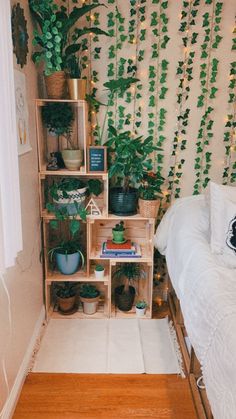 a bed room with a neatly made bed and lots of plants on the shelves next to it