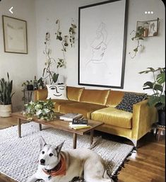 a white dog laying on top of a rug next to a yellow couch in a living room