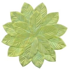 a large green leaf shaped object on a white background