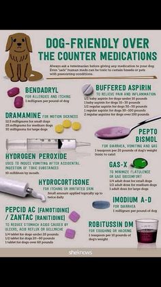 a poster describing the benefits of dog - friendly medicationss for dogs and their owners