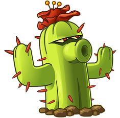 a green cactus with spikes on its head