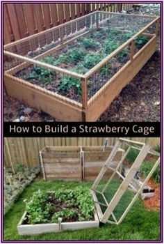 Vegetable Garden Beds, Strawberry Garden, Plants Growing, Diy Raised Garden, Raised Garden Beds Diy, Garden Types, Home Vegetable Garden, Garden Yard Ideas, Vegetable Garden Design