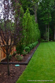 a yard with green grass and trees in the background