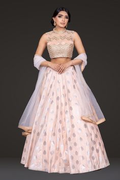 Buy Peach Embroidered top with Skirt Readymade or Customised Online. Pakistani/Indian Wedding Dress Mongas Southall, London Peach Dupatta, Top With Skirt, Top Net, Peach Top, Indian Wedding