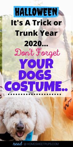 Cute dog Halloween costume ideas with photos for your next trick or treat parade or trick or trunk with dog owners. There are costumes for big dogs, large dogs, and small dogs. They are so funny! plus DIY ideas for your last-minute dog costumes. #Trickortrunk #halloween #doghalloweencostumes #dogcostumes #lastminutehalloweencostumes #dogs #pets Costumes For Big Dogs, Homemade Animal Costumes, Halloween Pet Safety, Cute Dog Halloween Costumes, Halloween Dog Costume, Dog Onesies, Diy Dog Costumes, Dog Light