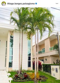 two palm trees in front of a white building