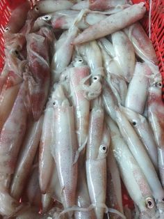 a red basket filled with lots of small white fish sitting on top of each other