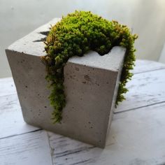 a concrete block with moss growing out of it