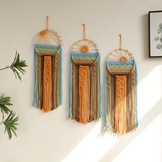 three wall hangings with different colors and designs on the wall next to a potted plant