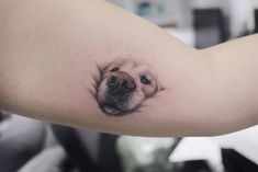 a small dog's face is shown on the right arm and behind its head