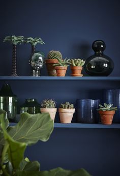 some plants and vases are sitting on the shelves in front of blue painted walls