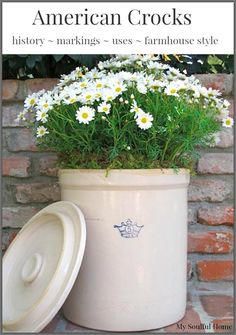 an old white pot with daisies in it and the words american crock's