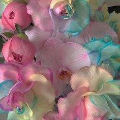 a bouquet of pink and blue flowers in a vase with water droplets on the petals