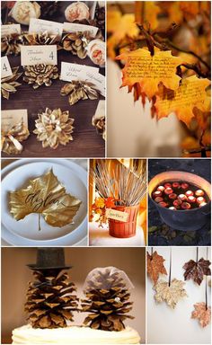 several pictures of different types of autumn decorations and leaves, including pine cones, acorns