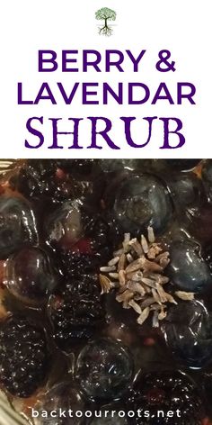 berry and lavender shrub in a bowl with text overlay that reads berry and lavender shrub