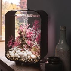 an aquarium with rocks and corals in it on a table next to a bottle