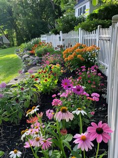 colorful flowers line the side of a white picket fence