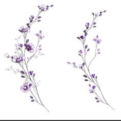 two purple flowers are shown on a white background