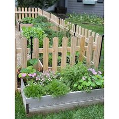 an outdoor garden with wooden fence and various plants in the planter box on the lawn