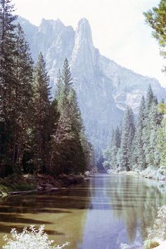 a river surrounded by trees and mountains