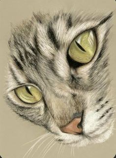 a drawing of a cat's face with green eyes and long whiskers