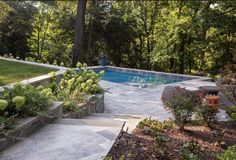 a pool surrounded by trees and plants next to a lush green yard with steps leading up to it