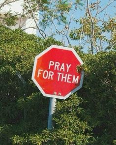 a red stop sign with the words pray for them written on it in front of some bushes