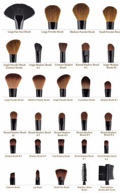 Makeup Brush Uses, Tutorial Eyeliner, Foundation Brushes, Membentuk Alis, Brush Guide, Blender Sponge, Makeup Order, Makeup Brushes Guide