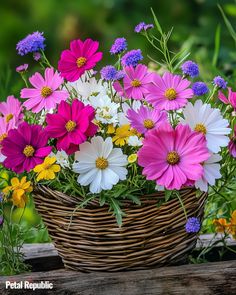 Pink Flowers: Their Meaning, Symbolism, and Cultural Significance Sending Flowers, Color Symbolism, Buddhist Traditions, Summer Wines, Chrysanthemum, Pink Flower, Join Me