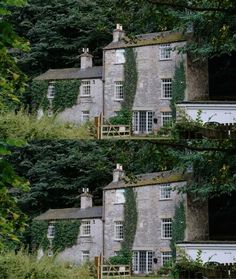 the house is surrounded by trees and bushes