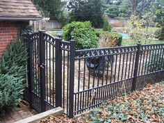 an image of a dog that is looking out from behind a fenced in area