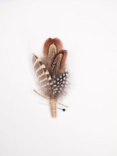 three feathers are attached to a hook on a white surface with black and brown accents