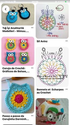 the instructions for crochet are shown in different styles and colors, including owls