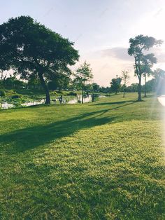 the sun shines brightly through the trees on this grassy field near a pond and park bench