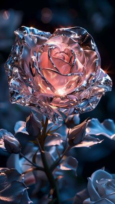 a close up of a flower with lights in the background