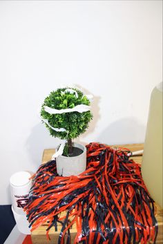 a potted plant sitting on top of a wooden table next to a baseball bat