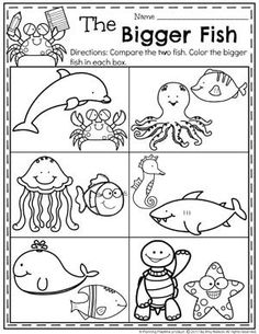 the bigger fish worksheet