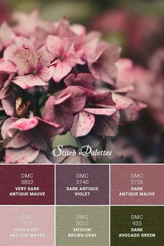 a bunch of flowers that are in some color swatches with the words, smell and peace