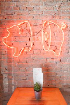 a table with a plant on it in front of a neon sign that says poop