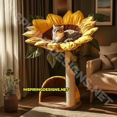 a cat is laying in a sunflower shaped bed