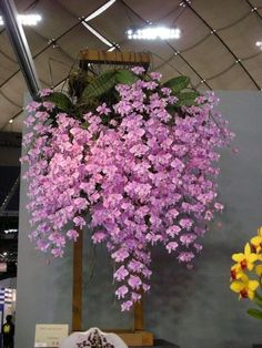 purple flowers are hanging from the ceiling above a cake