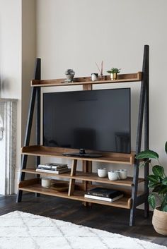 an entertainment center with a television, plant and bookshelf in front of it