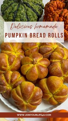 delicious homemade pumpkin bread rolls on a white plate surrounded by gourmet pumpkins