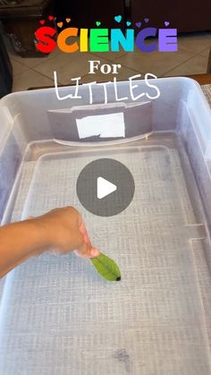 a person holding a green leaf in front of a white box with the words science for littles on it