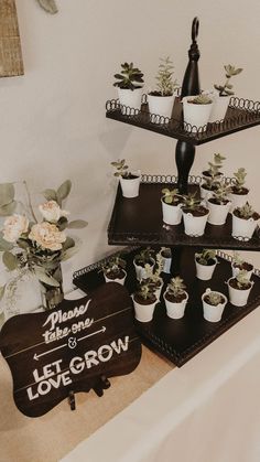 three tiered trays filled with potted plants