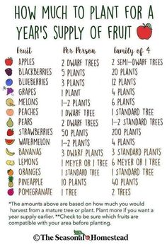 how much to plant for a year's supply of fruit