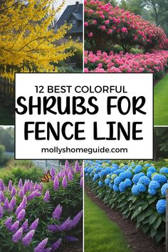 colorful shrubs for fence line with text overlay that reads, 12 best colorful shrubs for fence line